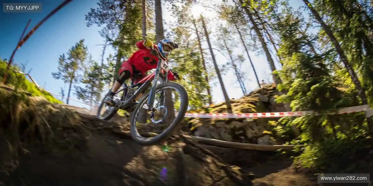 🏋️‍♂️专业品质，耐用舒适！从健身器材到运动服饰，你的健康首选！🎽